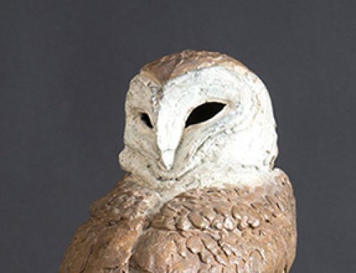 Barn Owl