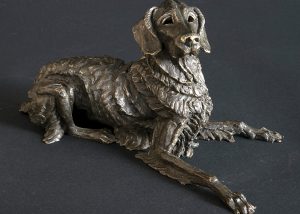 Flat coat bronze dog