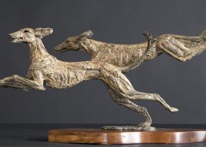 Flying Saluki a