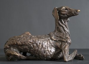 Sitting Saluki a