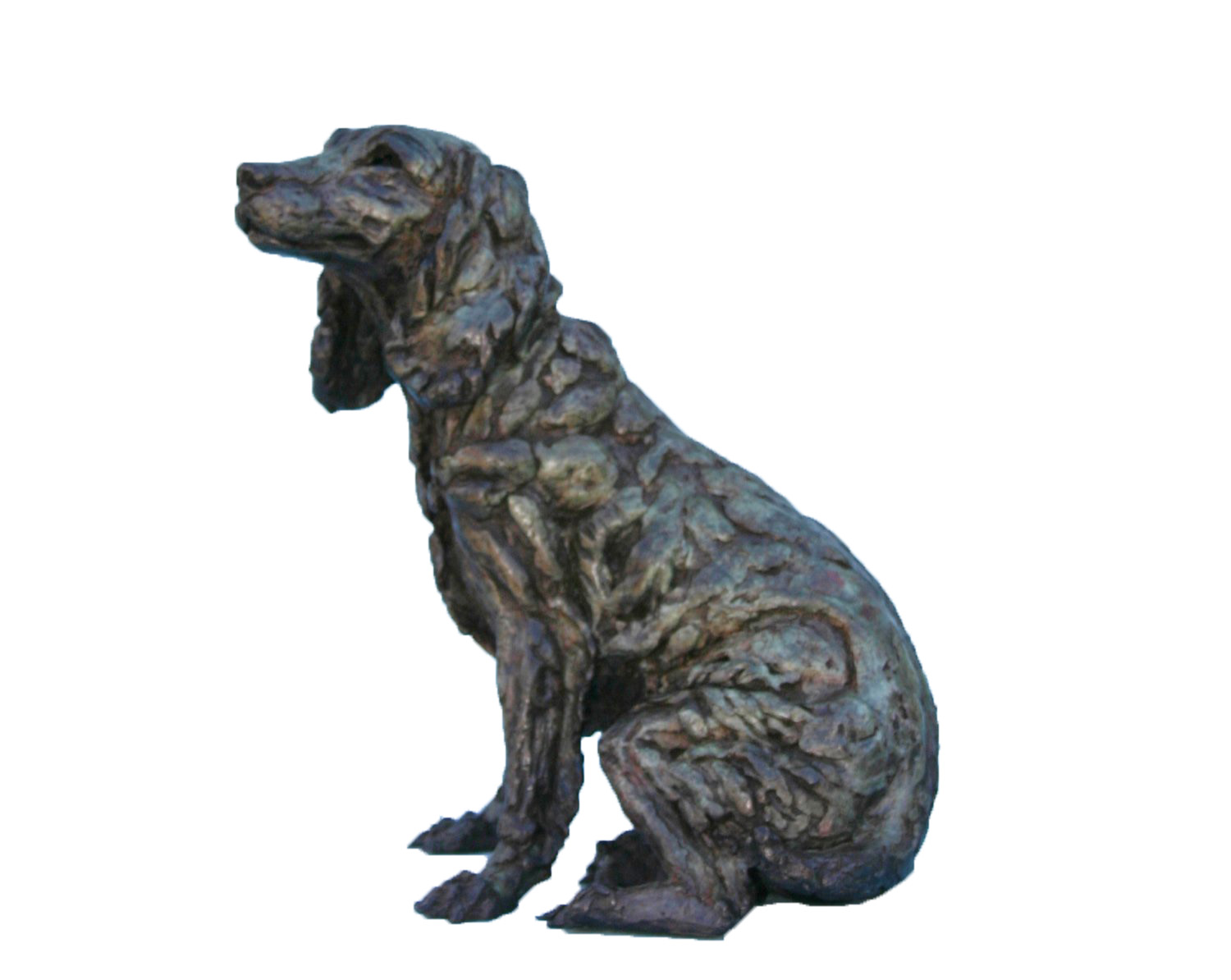 dogs rosie
