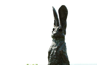 hare