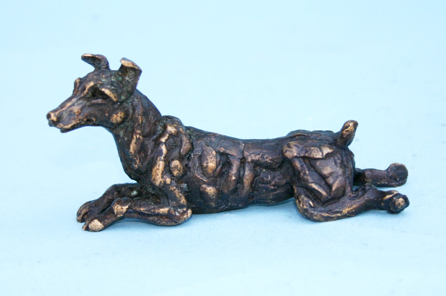 mini lying terrier