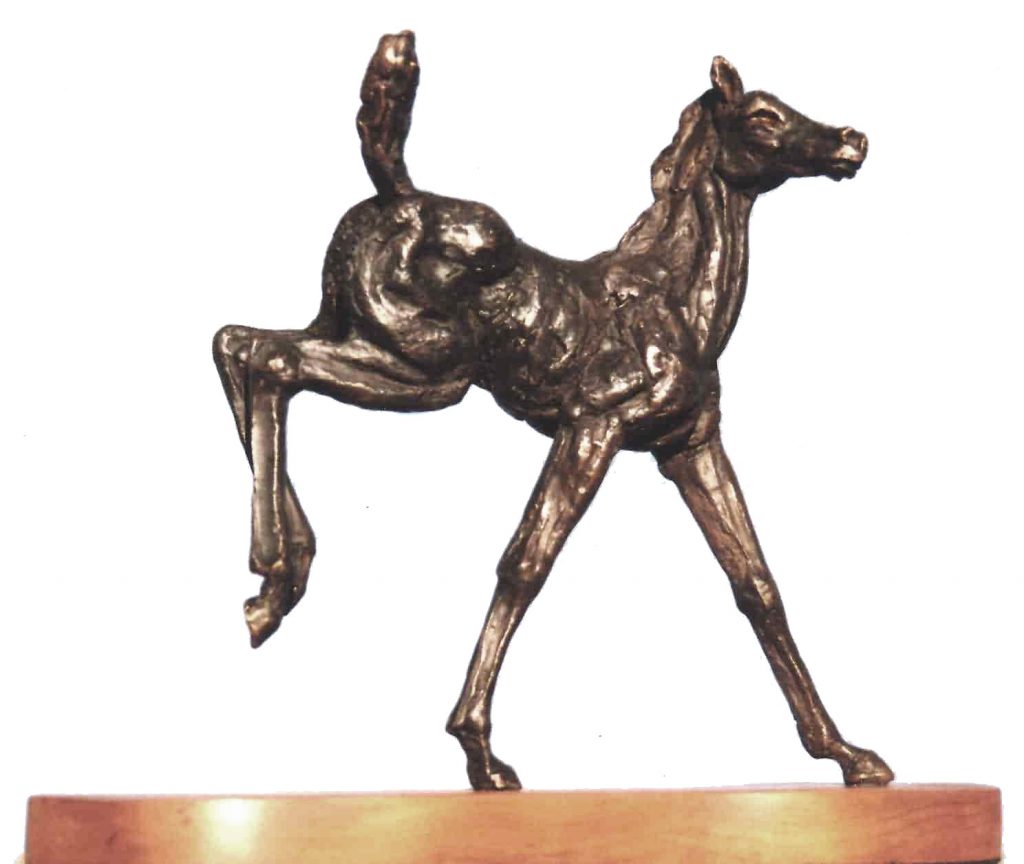 Foal - Kicking