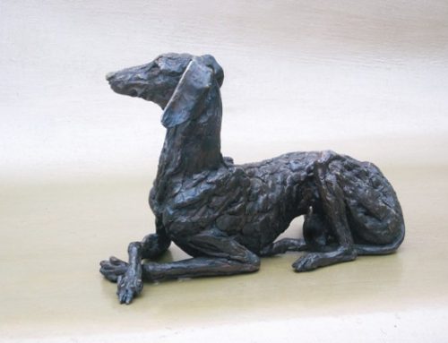 Saluki