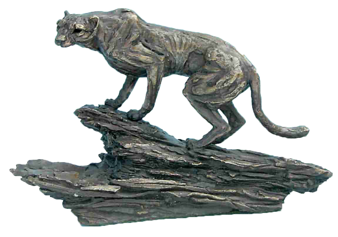 wildlife cheetah on rock a