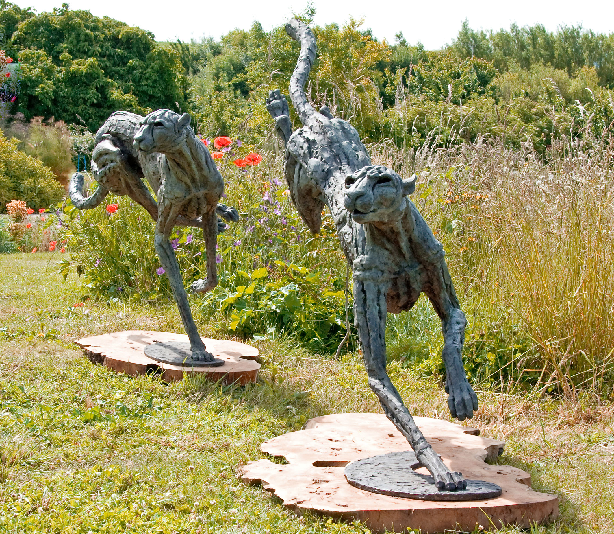 Big Landing and Turning Cheetahs Bronze Sculptures