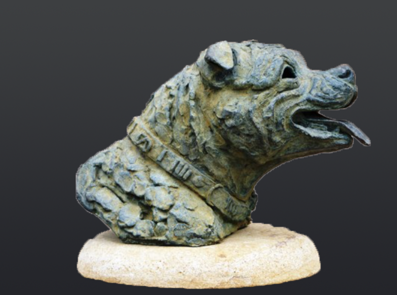 Bronze statue of a dogs head
