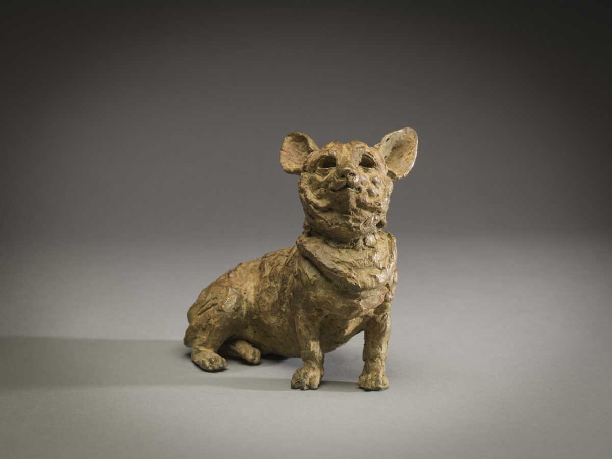Corgi