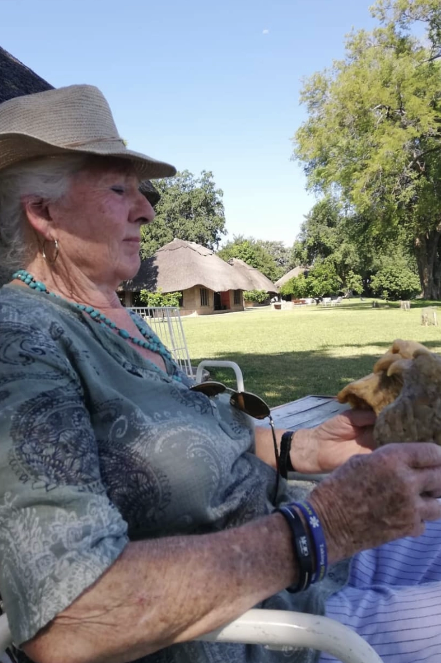 Jan Sweeney — wildlife sculptor